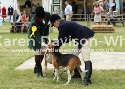 IMG_0718high peak kdwimage