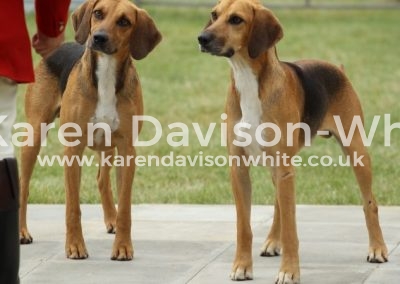 IMG_0719Holcombe Lawyer white toes on right kdwimage