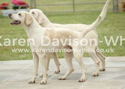 IMG_0756NNH Linton '16 and Hector '16 karendavisonwhite