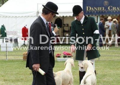 IMG_0759Taunton Vale Battle and Banwell