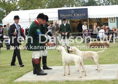 IMG_0770NNH and TV show down karendavisonwhite