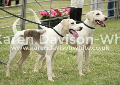 IMG_0772TV karendavisonwhite