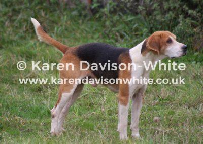 img_0781wavh-karendavisonwhite-co-uk