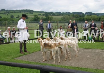 IMG_0786n cotswold karendavisonwhite