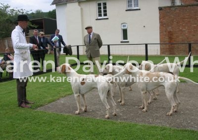 IMG_0811Guy Fitzearle n cotswold karendavisonwhite