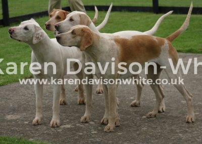 IMG_0818north cotswold karendavisonwhite