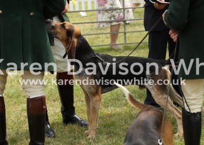 IMG_0847Appendix C WH Hector (Harlech '12 - M Sigalas Juno '14U kdw