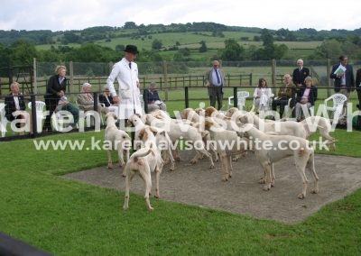 IMG_0847north cotswold 2016kdw