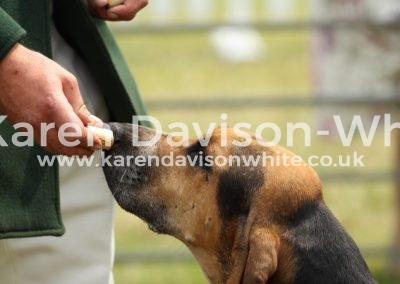 IMG_0848WH Hector karendavisonwhite