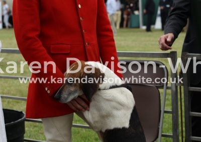 IMG_0886Pendle Forest and Craven karendavisonwhite