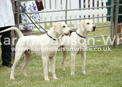 IMG_0907North Norfolk Harriers Reuben and Random 2nd couple class