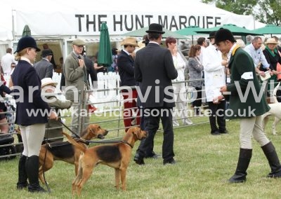 IMG_0911Ross Harriers Batman and Barrier I think kdw