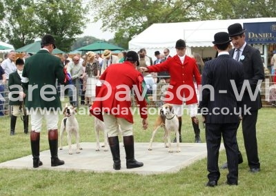 IMG_0923Waveney and Holcombe karendvisonwhite