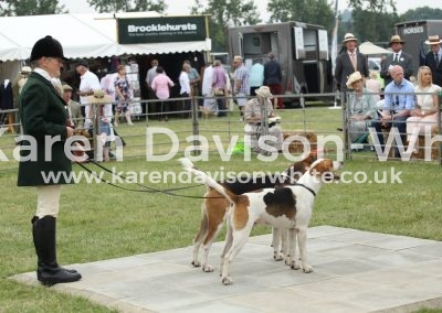 IMG_0932WH Latimer Champion dgh Lancaster Res karendavisonwhite