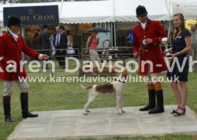 IMG_0969Dunston Harriers Florist karendavisonwhite