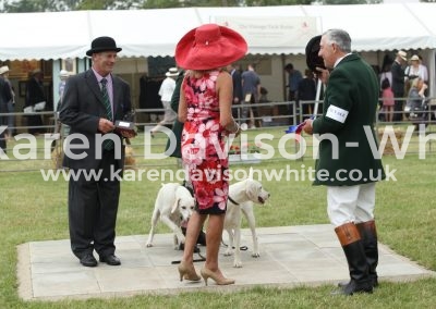 IMG_0975Axe Vale Harriers Clive Shillan Willow and Worry 1st and 2nd unent.bitch