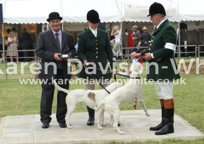 IMG_0977Axe Vale Willow '16B Modbury Wantage 13A Lady '11C Unentered West Country and Worry 2nd karendavisonwhite