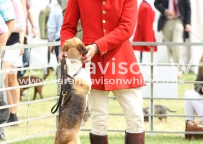 IMG_1044Pendle Forest & Craven