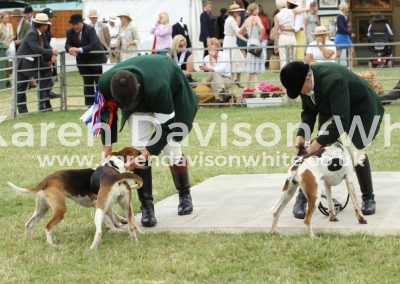 IMG_1087wh appendix c