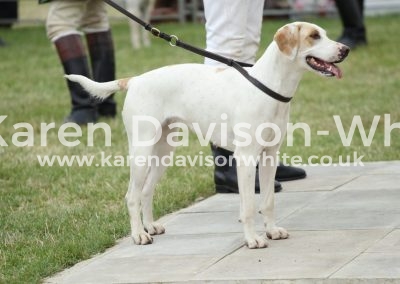 IMG_1104Axe Vale Traffic Appendix C winner