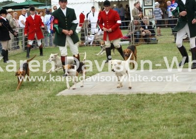 IMG_1115Bitch hound couple class