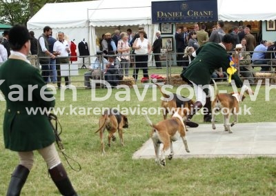 IMG_1136Easton Harriers Bailey Bantam corporal and Concorde