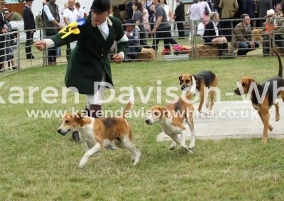 IMG_1138Easton Harriers Group Class