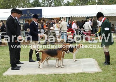 IMG_1145Dougie Killick High Peak Huntsman karendavisonwhite