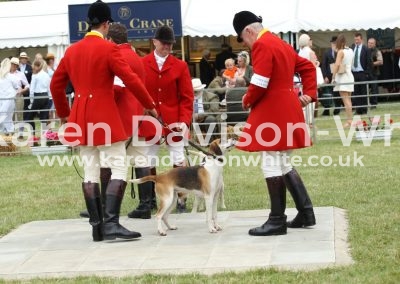 IMG_1161Res Pendle Forest & Craven kdwimage