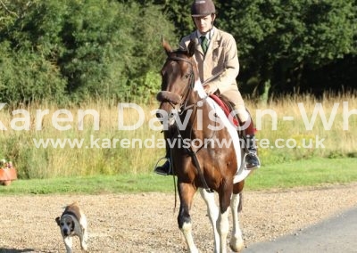 IMG_1275peter and the coloured mare karendavisonwhite