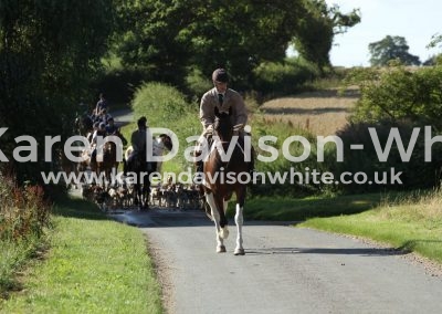 IMG_1306wh hound ex. p going on karendavisonwhite