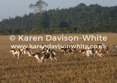 img_1313waveney-harriers-2011