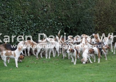 IMG_1316BSSNS karendavisonwhite