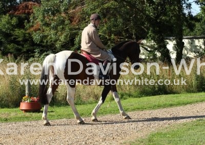 IMG_1317Peter hound exercise karendavisonwhite