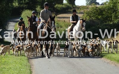 Hound Exercise on horses now as Autumn approaches