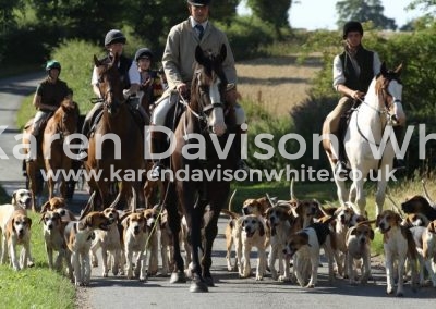 IMG_1326hound ex karendavisonwhite