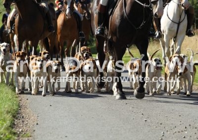 IMG_1332Waveney harriers karendavisonwhite