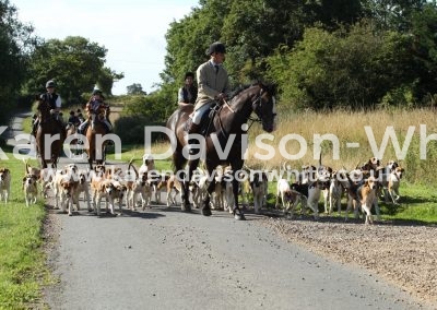 IMG_1335waveney hound exercise karendavisonwhite