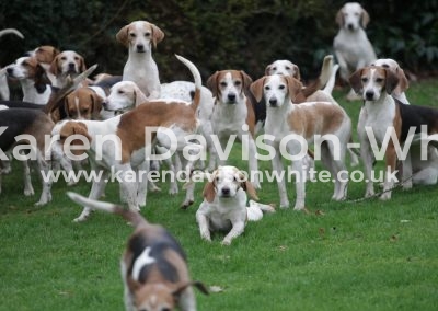 IMG_1339BSSNS karendavisonwhite