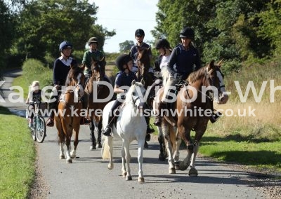 IMG_1348hound ex karendavisonwhite