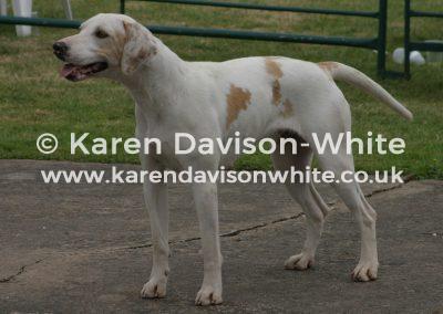 img_1430by-panther-12-out-of-essex-vivid09