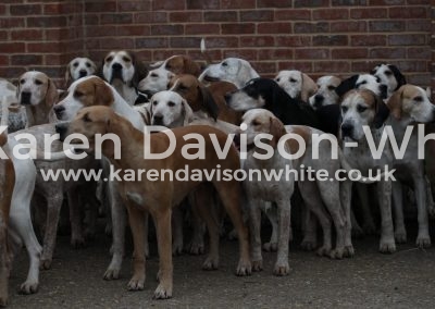 IMG_1492tan bitch American line karendavisonwhite