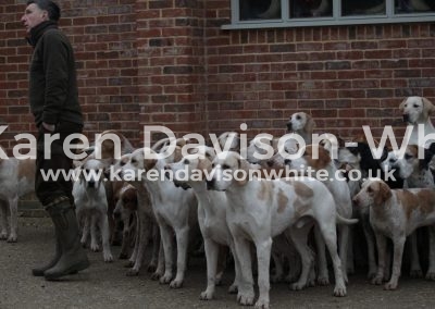 IMG_1518Suffolk Foxhounds karendavisonwhite