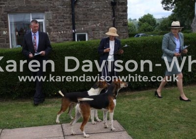 IMG_1528HP Converse white neck and Cotley by WH Colman '16 -Shortcake '14