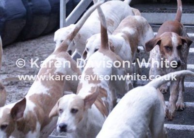 IMG_1560Exmoor fh 1aug18