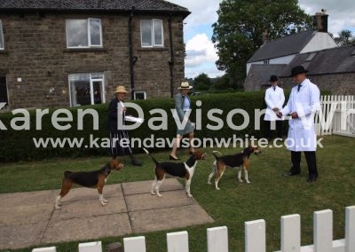 IMG_1562kdwCorset white neck Compass and Countess