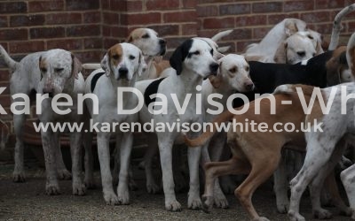 Suffolk Foxhounds – Take one