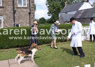 IMG_1578Harlow & Harmony white neck by HP David'11-Rockwood Hireling'15