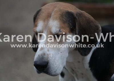 IMG_1582think Artist karendavisonwhite