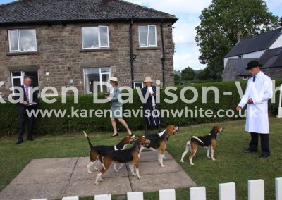 IMG_1591young entry bitches kdwimage